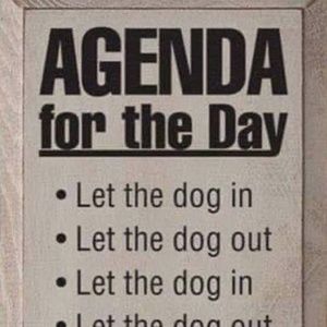 Meet your Posher, Regina